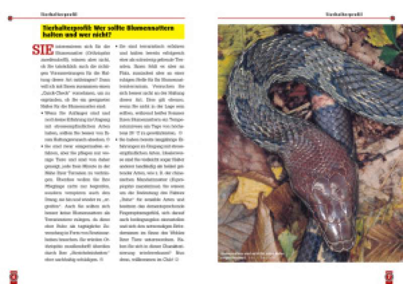 Preview: Die Blumennatter